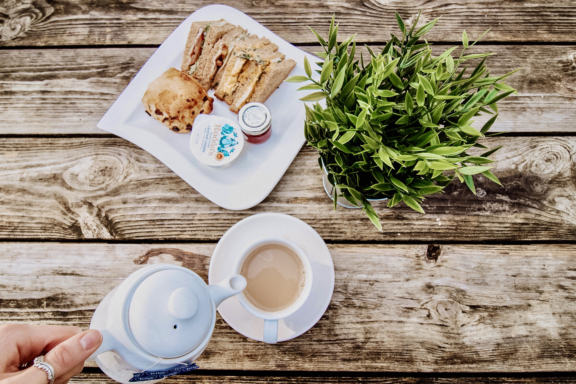 image title goes here